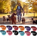 12 Pcs Double Sided Reflective Dog Leash