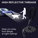 2 Pack Dog Leash — Heavy Duty Nylon Rope Pet Leashes