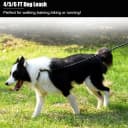2 Pack Dog Leash — Heavy Duty Nylon Rope Pet Leashes