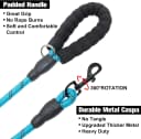 Dog Leash for Large Dogs — 5FT Heavy Duty Rope Leash Bulk