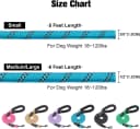 Dog Leash for Large Dogs — 5FT Heavy Duty Rope Leash Bulk