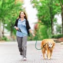 Dog Leash for Large Dogs — 5FT Heavy Duty Rope Leash Bulk
