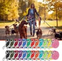 24 Pack Nylon Dog Training Leash Bulk 5 ft