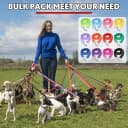 12 Pack Nylon Puppy Training Leash 5ft Pet Dog Leash