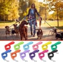 12 Pack Nylon Puppy Training Leash 5ft Pet Dog Leash