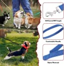 36 Pcs Bulk Dog Leashes 5 ft Nylon Small and Medium Dogs
