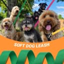 12 Pack Bulk Dog Leashes — 6FT Pet Lead Leash with Swivel Hook