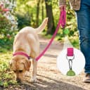 Reflective Dog Leash for Medium and Large Dogs