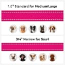 Reflective Dog Leash for Medium and Large Dogs
