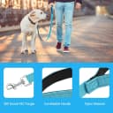 6 Pack Dog Leashes for Large Dogs — Reflective Nylon