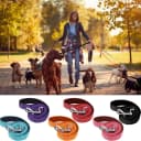 6 Pack Dog Leashes for Large Dogs — Reflective Nylon