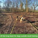 Floating Long Dog Leash — 20ft Dog Training Leash for Swimming and Lake
