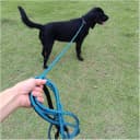 Long Dog Leash — 10/15/20/30/50FT Dog Training Leash with Soft Handle