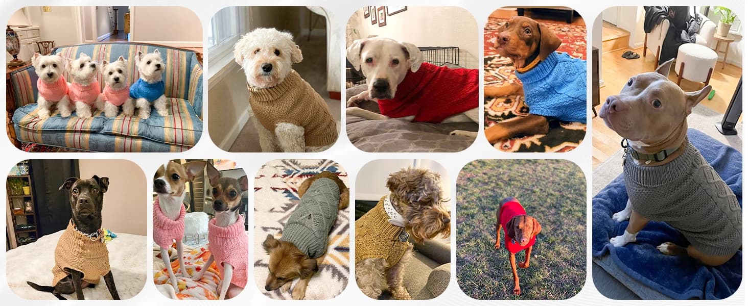 Cable Knit Turtleneck Dog Sweater with Leash Opening — product details