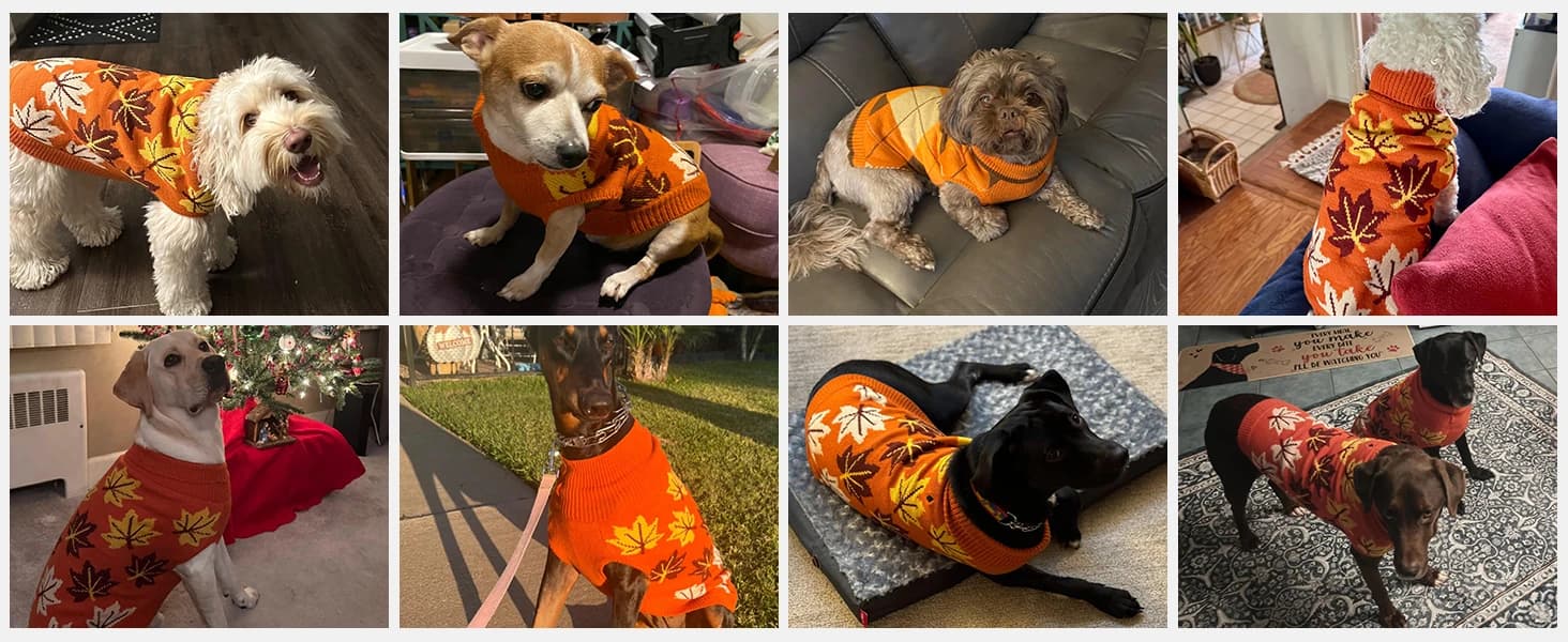 Small Dog Sweater — Fall Dog Sweater with Autumn Maple Leaf Pattern — Great gift for your furry friend for holiday and daily wear!