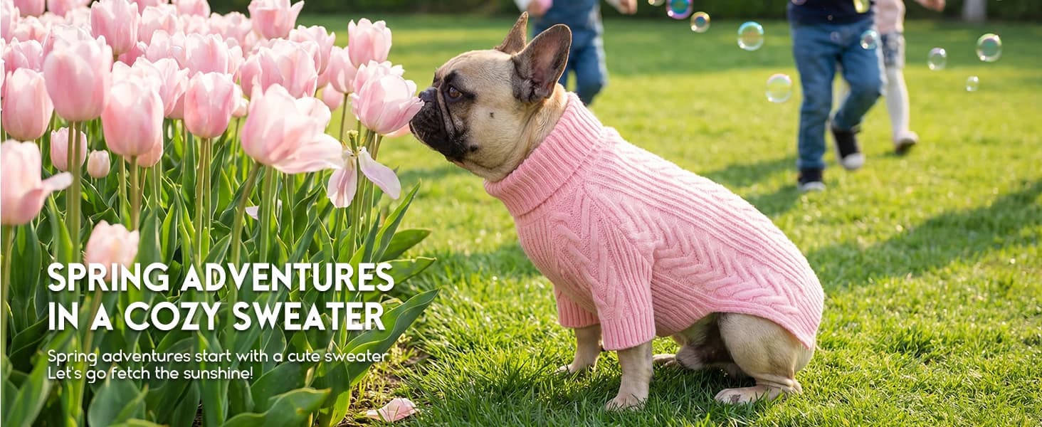 Dog Sweater for Extra Large Dogs — Warm Knit Sweater for Labrador — product details