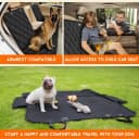 Dog Car Seat Cover — Back Seat Cover for Dogs Pet Car Seat Protector