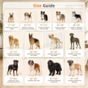 Washable Pee Pads for Dogs — 2 Pack Fast Absorbent Dog Mats,72"x72"
