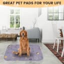 Washable Pee Pads for Dogs 2 Pack 34" x 36" — Waterproof