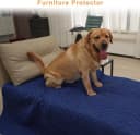 2Pack Pee Pads for Dogs Washable 53”x53”