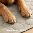 Premium Washable Pee Pads for Dogs 2 Pack Super Absorbent 100% Waterproof Reusable Non-Slip Quilted Puppy