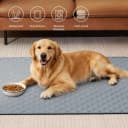 Reusable Washable Pee Pads for Dogs Large/Extra Large 36'' x 41'' 2 Pack — Absorbent Pet Puppy Dog Training