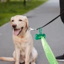 56 Pack Dog Poop Trash Bag Holder Dispenser Bone Shaped Puppy Poop Waste Bag Holder Plastic Leak Proof Pet