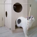 Retractable Cat Wand — 7 Pack Super Long 55.1" Wand Toy with Ball of Yarn
