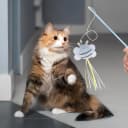 Cat Wand Toy Set — 2 PCS Interactive Cat Teaser Wands with Cute Bee & Mouse Designs
