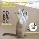 Cat Toys for Indoor Cats — Interactive Cat Toy 2PCS Retractable Wand Toy and 9PCS Cat Feather Toys Refills