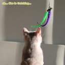 Cat Toys for Indoor Cats — Interactive Cat Toy 2PCS Retractable Wand Toy and 9PCS Cat Feather Toys Refills