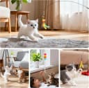 Interactive Cat Toys — 15PCS Cat Wand and Feather Toys for Indoor Cats