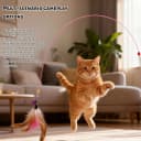 Cat Feather Wand Toy - Steel Wire Feather Interactive Cat Stick Training - Beads Bells Kitten Wand Toys Pet