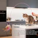 Cat Feather Wand Toy - Steel Wire Feather Interactive Cat Stick Training - Beads Bells Kitten Wand Toys Pet