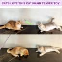 Cat Toys 11Pcs Cat Wand Worm Feather Refills for Indoor Cats