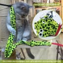 Interactive Cat Toy Wand with Catnip Mouse