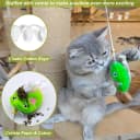 Interactive Cat Toy Wand with Catnip Mouse