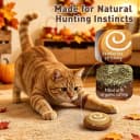 Plush Fall Catnip Toys for Indoor Cats 6 Pack — Pumpkin Shape