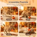 Plush Fall Catnip Toys for Indoor Cats 6 Pack — Pumpkin Shape