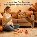 Plush Fall Catnip Toys for Indoor Cats 6 Pack — Pumpkin Shape