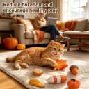 Plush Fall Catnip Toys for Indoor Cats 6 Pack — Pumpkin Shape