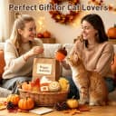 Plush Fall Catnip Toys for Indoor Cats 6 Pack — Pumpkin Shape