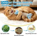 Catnip Cat Toys Pillows for Indoor Kittens Kicker Chew — 9.45 Inches