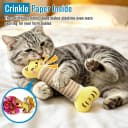 Catnip Cat Toys Pillows for Indoor Kittens Kicker Chew — 9.45 Inches