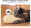 Catnip Cat Toys 4 Pack — Soft Cat Pillow Kicker Toys with Crinkle Sound