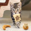 Plush Bread Catnip Toys for Indoor Cats 6 Pack