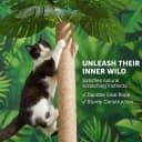 31.5Inch Cat Scratching Post