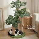 31.5Inch Cat Scratching Post