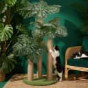 31.5Inch Cat Scratching Post