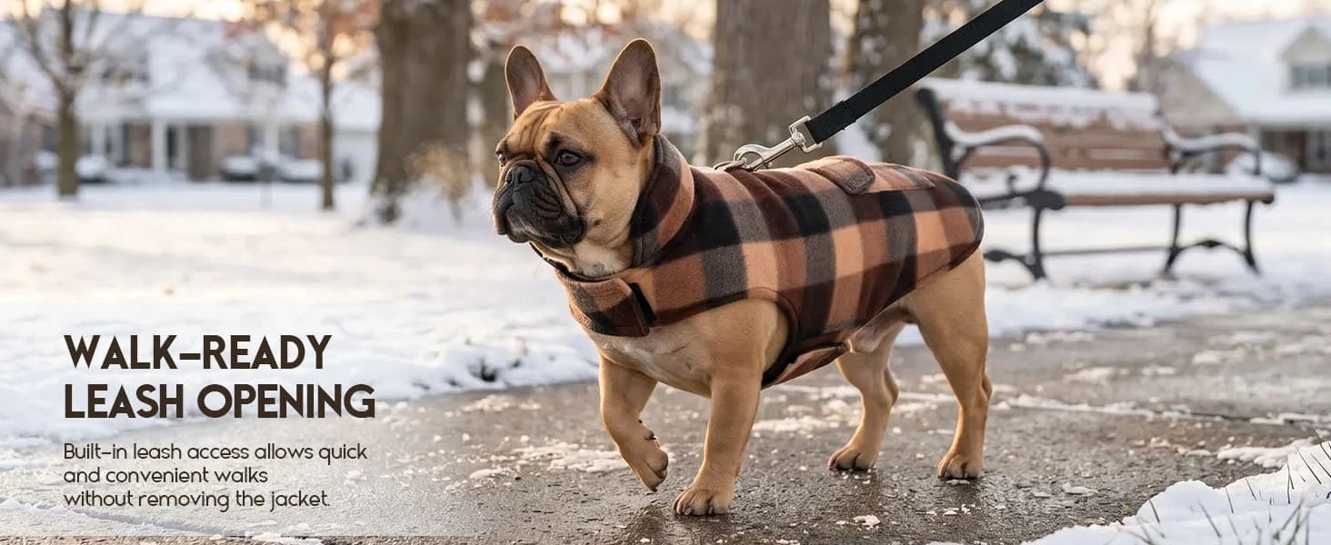 Reversible Dog Winter Coat — Dog Jacket for Small — product details